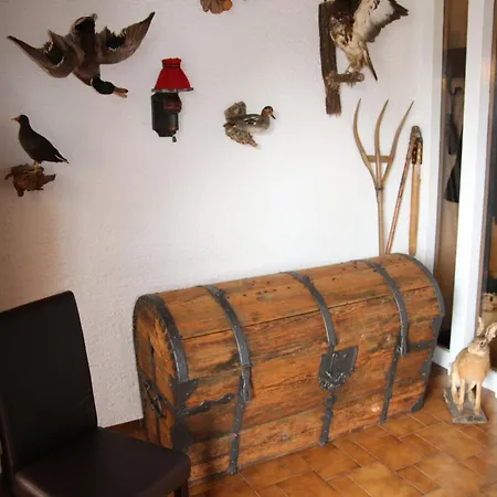 Luxus-landhaus Im Schwarzwald/baiersbronn Mit Pool